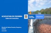 ACUICULTURA EN COLOMBIA