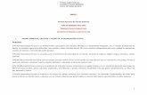 ANEXO 5 Formato Resumen de Plan de Gobierno PLAN DE ...