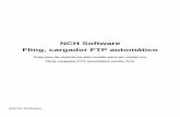 NCH Software Fling, cargador FTP automático