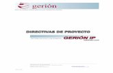 Directivas de proyecto Gerion IP