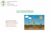 Presentación de PowerPoint - Colegio Alto Pewen