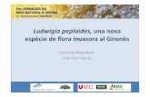 Ludwigiapeploides, una nova espèciede flora invasora al ...