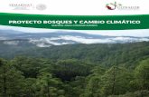 PROYECTO BOSQUES Y CAMBIO CLIMÁTICO