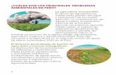 Recurso LOS PRINCIPALES PROBLEMAS 12-10-