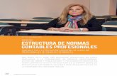 SÍNTESIS ESTRUCTURA DE NORMAS CONTABLES PROFESIONALES