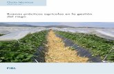 Buenas prácticas agrícolas en la gestión del riego
