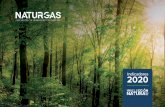 Indicadores 2020 - naturgas.com.co