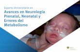 Experto Universitario en Avances en Neurología Prenatal ...