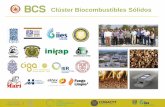 Clúster Biocombustibles Sólidos - Instituto Potosino de ...