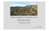 Diversidad en montes con plantaciones - UHU
