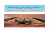 Biodiversidad de Nabidae (Insecta: Heteroptera): Revisión ...