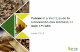 Potencial y Ventajas de la Generación con Biomasa de Baja ...