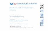 Structural and environmental optimization of D.W.T.D.N ...