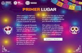 PRIMER LUGAR - Veracruz