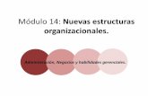Módulo 14: Nuevas estructuras organizacionales.