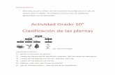 Actividad Grado 10° Clasificación de las plantas