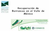 Recuperación de Barrancas en el Valle de México