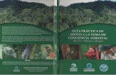 COMAFORS - Corporación de Manejo Forestal Sustentable