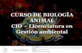CURSO DE BIOLOGÍA ANIMAL CIO Licenciatura en Gestión …