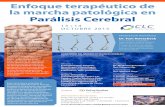 Enfoque terapéutico de la marcha patológica en Parálisis ...