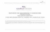 REPORTE DE SOLVENCIA Y CONDICIÓN FINANCIERA