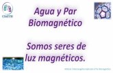 Agua y Par Biomagnético Somos seres de luz magnéticos.