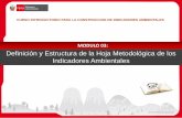 MODULO 03: Definición y Estructura de la Hoja Metodológica ...