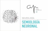 NEUROLOGÍA SEMIOLOGÍA NEURONAL