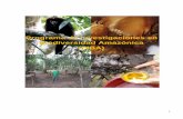Programa de Investigaciones en Biodiversidad Amazónica (PIBA)