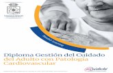 Diploma Gestión del Cuidado del Adulto con Patología ...