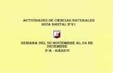 Actividades de ciencias naturales Guía Digital n°21