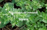 Stevia - fanus.com.ar