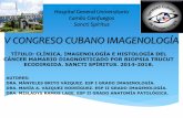 V CONGRESO CUBANO IMAGENOLOGÍA