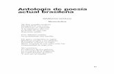 Antología de poesía actual brasileña