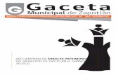 Municipal de Zapotl n - ciudadguzman.gob.mx