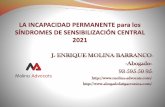 J. ENRIQUE MOLINA BARRANCO -Abogado- 93 595 50 95