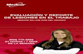 EVALUACIÓN Y REPORTE DE LESIONES EN EL TRABAJO