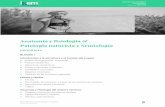 Anatomía y Patología naturista - institut-igem.com