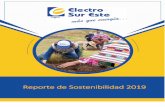 Reporte de Sostenibilidad 2019 - Electro Sur Este