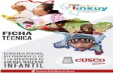 Sello Regional “Tinkuy Para El Desarrollo Infantil ...
