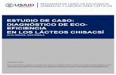 ESTUDIO DE CASO: DIAGNÓSTICO DE ECO- EFICIENCIA EN LOS ...