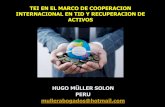 TEI EN EL MARCO DE COOPERACION INTERNACIONAL EN TID Y ...