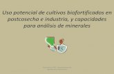 Uso potencial de cultivos biofortificados en postcosecha e ...