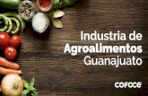 Industria de Agroalimentos Guanajuato