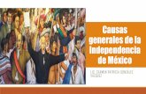 Causas generales de la Independencia de México