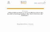 Planificación y Coordinación de Redes Integradas de ...