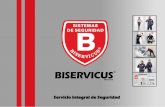 Servicio integral de Seguridad - biservicus.com