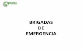 BRIGADAS DE EMERGENCIA - MAGNA LTDA