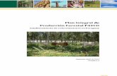 Plan Integral de Producción Forestal PAYCO