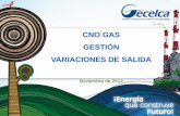CNO GAS GESTIÓN VARIACIONES DE SALIDA